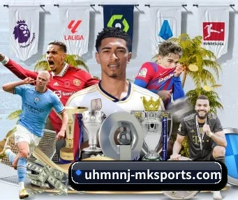MK体育 APP